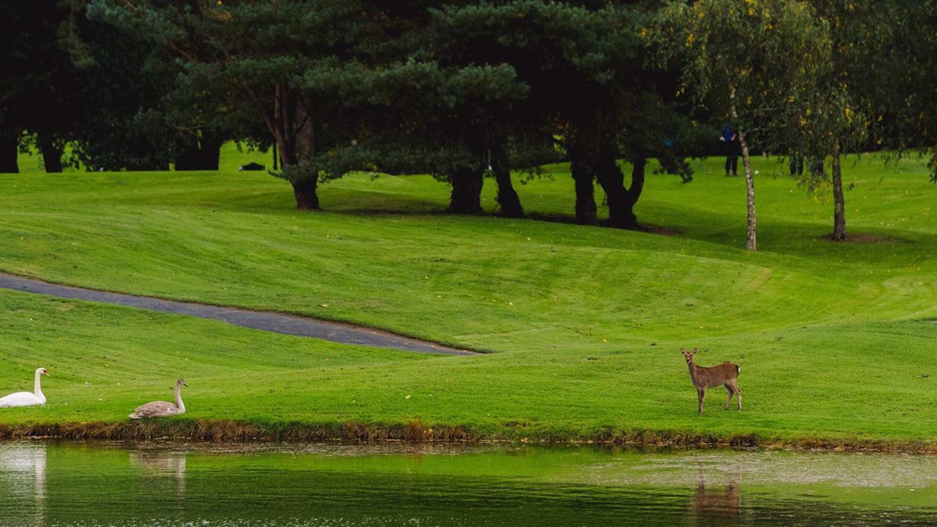 Waterford Castle Hotel Lodges Exteriér fotografie